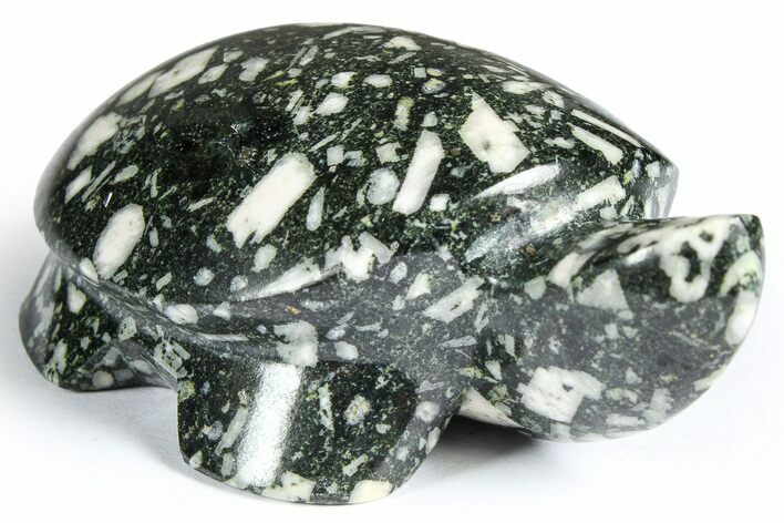 Polished Chinese Writing Rock Turtle - Alaska #366526